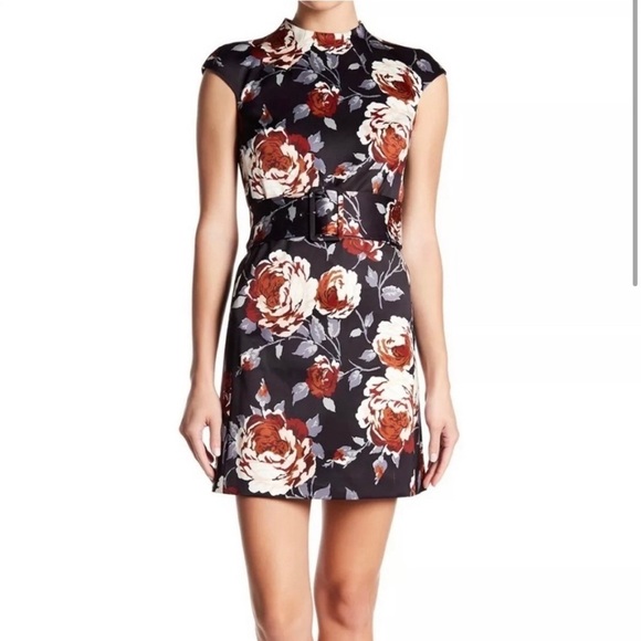 Theory Mod Dress Floral Victoria Belted Shift Mini Work Office Sz 2 - Picture 1 of 12